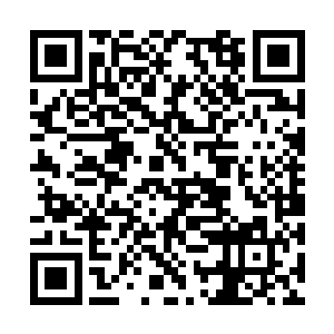 仅仅是下界大半天时间大部分混沌兽已经被击杀了二维码生成