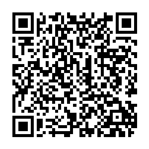 仅仅是作为编剧身份得到了提名而已――诺拉始终没有拿过奥斯卡小金人二维码生成