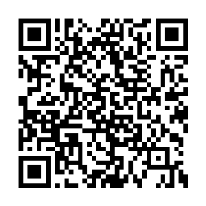 仅仅是想让自己任何一方面在夫君眼里都是最好二维码生成