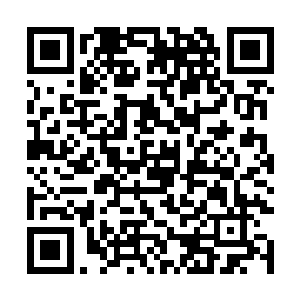 仅仅是看了一下脸就被她同时体现的3种气质给完全吸引二维码生成