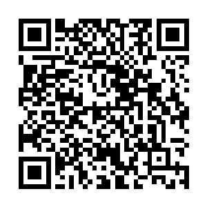 仅仅穿着芥子战斗服甚至普通制服就被冻成冰块的尸体二维码生成