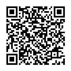仅仅靠灵宝中的拿点法则之力龙傲天根本就没有丝毫的在意二维码生成