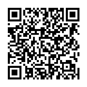 仅在得到岁月神器的韩风和得到了某个传承的谭宁刚之下二维码生成