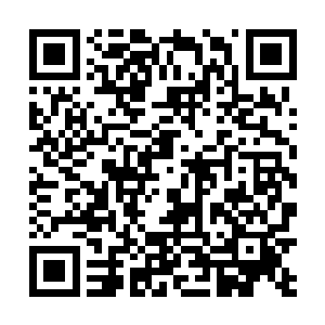 仅这尊者以上才能任殿主的起点就足以让所有人震撼了二维码生成