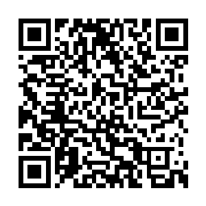仇仲庸和仇仲谋像是两条死狗一样的躺在了地上二维码生成