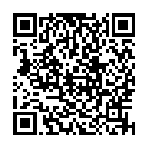 仇恨的支撑让欧成洛的剑气修为速度比一般人更快上好几倍二维码生成
