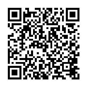 仇波鸿的手臂却是受到了叶星这一枪的力量冲击二维码生成