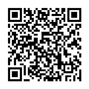 仇逸清仇逸云以及其它的仇家子女一个个的咬牙切齿二维码生成