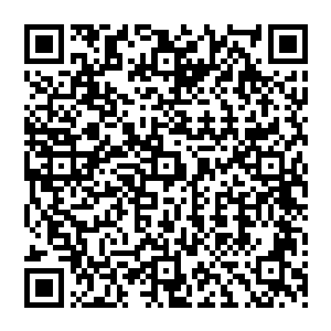 今个我的表现不只是在韩天秦眼里在任何人眼里都是过于反常的紧了些是隶属于蛇精病的一种二维码生成