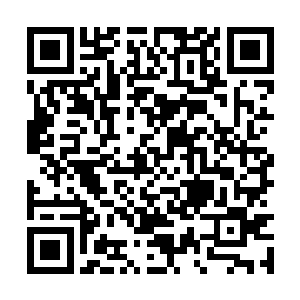 今儿个看样子区里和乡里千部对这边儿都不太熟悉二维码生成