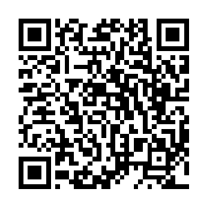今儿原本是约好了小公爷一道去兵工作坊看新一批火器的二维码生成