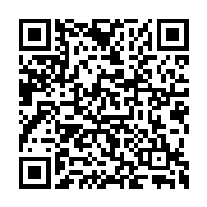 今儿来参加琉璃宴的宾客多多少少都会送上一些二维码生成