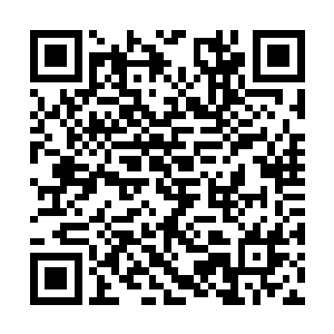 今后平安为官虽然不一定能做到大人这般清汤寡水二维码生成