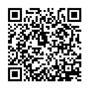 今夜的休息是为了明日将离殇所有秘密都演奏出来二维码生成