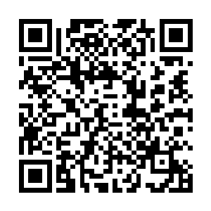 今天不知去向的那四枚阴阳圣果能够造就出何等的强者二维码生成