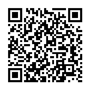 今天丛公子若是不想配合我们……你看到院外那棵树了么二维码生成