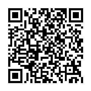 今天你们几个都的把身上的东西全部给我交出来二维码生成