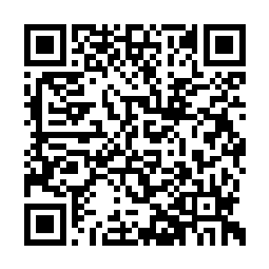 今天元保国的目的就是先给元俊朗家一个下马威二维码生成