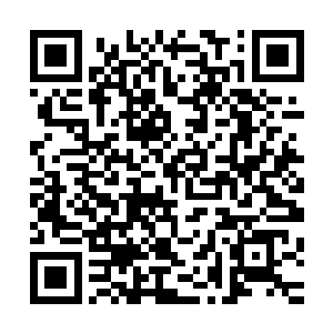 今天咱们是来测试洪大力这混小子那辆车的防御系统才过来的二维码生成