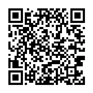 今天大家除了原本的九个领主之外应该都是来竞争领主的二维码生成