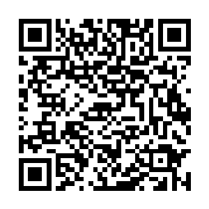 今天就是猴子ォ黄杰和郑午三人在华夏的最后一天二维码生成