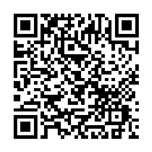 今天我们要为大家带来的是一场lcd对阵snake的比赛二维码生成