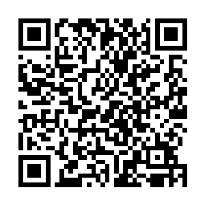今天我倒是要看看你这个号称世界第一的男人究竟有多强二维码生成