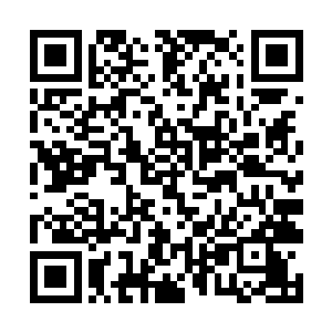 今天抓到猎物回去发现家里没人就循着味道找过来了二维码生成