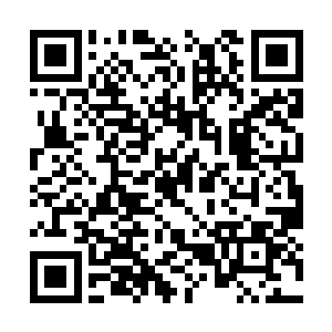 今天是刘医生五位师兄弟每半个月一次的联合坐诊二维码生成