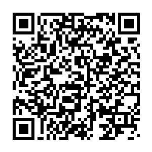 今天来到这里的都是岛国最有钱的一批人和来自世界各地的有钱人二维码生成