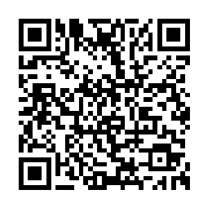 今天林智源的出现明显给她的新闻多加了几份料二维码生成