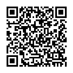 今天民盟军可以对不符合心意的星加坡华人下手二维码生成