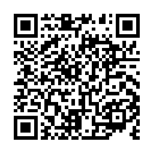 今天的出师不利本就让叶秋水心中堆积了一股怨气二维码生成