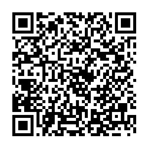 今天的宴会因为夏天的出现而让在场的每一个人都是抱着不同的心思二维码生成