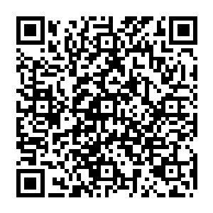 今天的衣服是特意从天京市最有名气的老裁缝纯手工制衣店里高价仿造的学校校服二维码生成