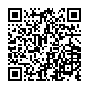 今天老夫总算是见到什么才是真正的英雄出少年了二维码生成