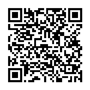 今天这太阳二十度左右照在人的身上舒服的让人想打盹二维码生成