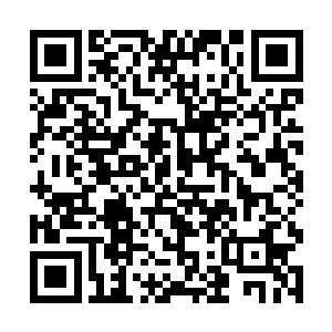 今天除了前台的工作人员还多了酒店的总经理和老板二维码生成