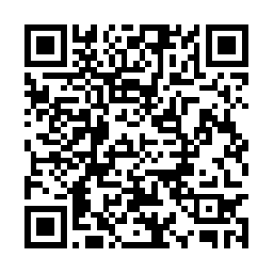 今天靳如歌在她的书包里也装了很多进口的小零食二维码生成