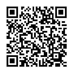 今年第六十六届奥斯卡就是连续第三年在桃乐丝钱德勒大厅举行二维码生成