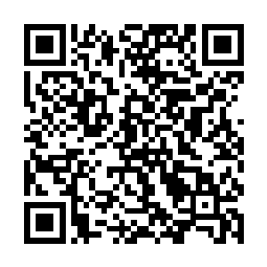 今日一见小子也不敢相信唐唐北冥家主竟然呆在这里二维码生成