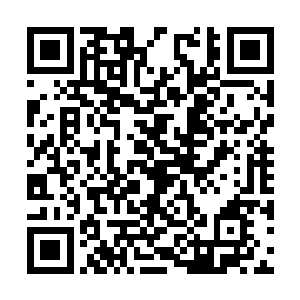 今日便让张某见识一下燕国天龙上将田豫的志气罢二维码生成