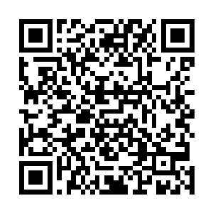 今日真正决定了他们不能取胜的正是那杀了他弟弟的凶手二维码生成