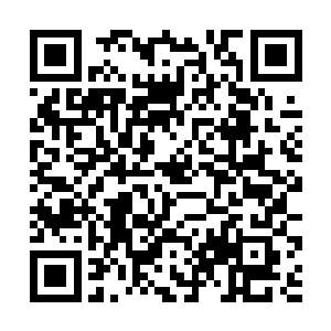 今日老奴不单单带了对于女子来说最珍贵的完壁玉盘二维码生成
