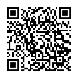 今日袭击我的两名无角人很可能就是当日送新生大巫的无角人二维码生成