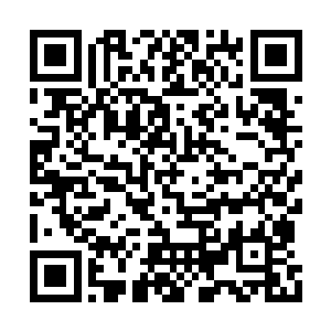 今晚由我们卓越集团举办的拍卖会现在正式开始二维码生成