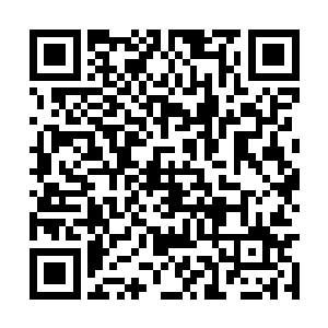 今番一次不管它七情六欲的危害放开了炼化愿力珠二维码生成