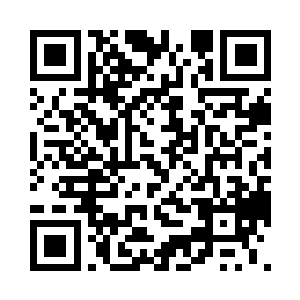 介绍了这一次蓝岛学习考察之行的收获二维码生成