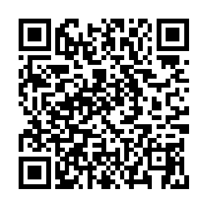 仍震惊在他之前一巴掌打在老板娘屁股上的画面二维码生成