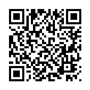 从一个叶片上转移到另一个叶片上二维码生成